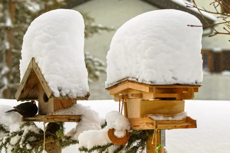 A golden nest egg balances against two houses leaking coins, symbolizing the continuing cost of snowbird living.